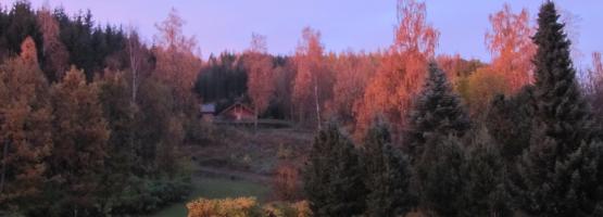 oko Šumarskog instituta